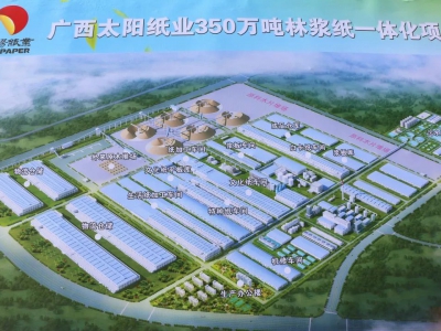 广西太阳纸业消声器项目